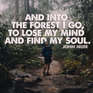 John Muir Quote " And into the forest I go, to lose my mind and find my soul"